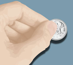 Vector of a left hand and a Canadian quarter coin vectored by Danielle MacDonald in Adobe Illustrator